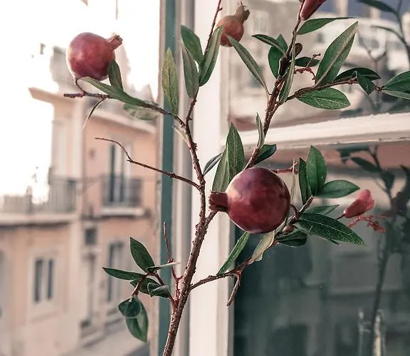 Cozy Janelas Verdes * Lissabon